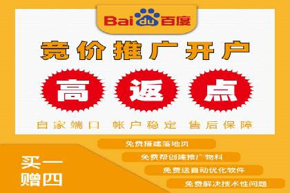 某电商平台的SEM策略与效果展示